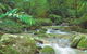 Mossman Gorge, Daintree National Park - thumb 0