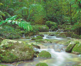 Mossman Gorge, Daintree National Park - Attractions Melbourne 0