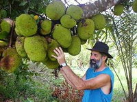 Cape Trib Exotic Fruit Farm