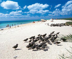 Michaelmas And Upolo Cays National Park - Attractions Melbourne 0