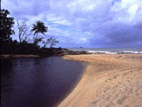 Book Bramston Beach Accommodation Vacations Attractions Melbourne Attractions Melbourne
