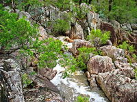 Book Crows Nest Accommodation Vacations Attractions Melbourne Attractions Melbourne