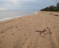 Book Palm Creek Accommodation Vacations Attractions Melbourne Attractions Melbourne