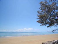 Book Blacks Beach Accommodation Vacations Attractions Melbourne Attractions Melbourne