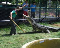 Book Childers Accommodation Vacations Attractions Melbourne Attractions Melbourne