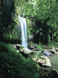Book Tamborine Accommodation Vacations Attractions Melbourne Attractions Melbourne