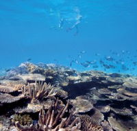 Australian Institute of Marine Science - Attractions Melbourne