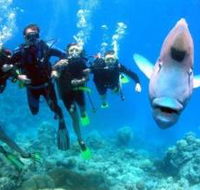Gotham City Dive Site - Attractions Melbourne