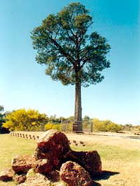 Book Cunnamulla Accommodation Vacations Attractions Melbourne Attractions Melbourne