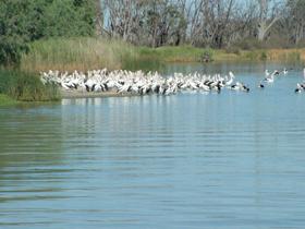  Attractions Melbourne