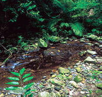 Wompoo Walk - Attractions Melbourne