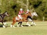 Book Warwick Accommodation Vacations Attractions Melbourne Attractions Melbourne