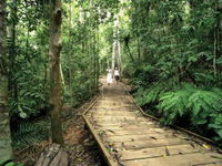 Book Malanda Accommodation Vacations Attractions Melbourne Attractions Melbourne
