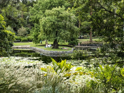 Brisbane Botanic Gardens Mount Coot-tha - Attractions Melbourne 1