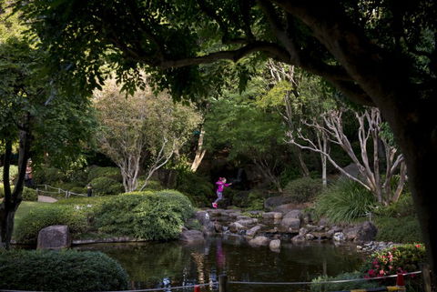 Brisbane Botanic Gardens Mount Coot-tha - Attractions Melbourne 2