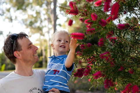 Brisbane Botanic Gardens Mount Coot-tha - Attractions Melbourne 4