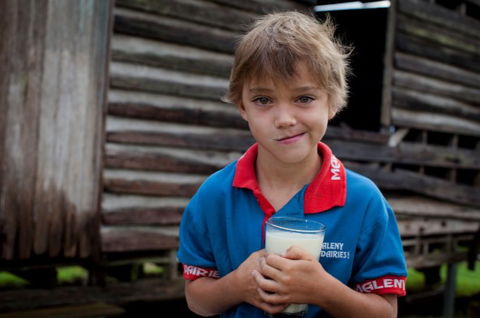 Maleny Dairies - Attractions Melbourne 2