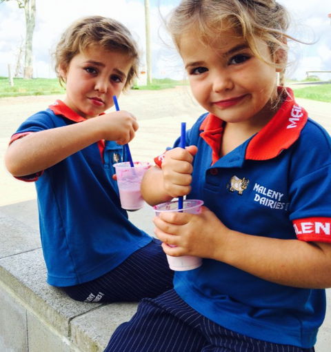 Maleny Dairies - Attractions Melbourne 3