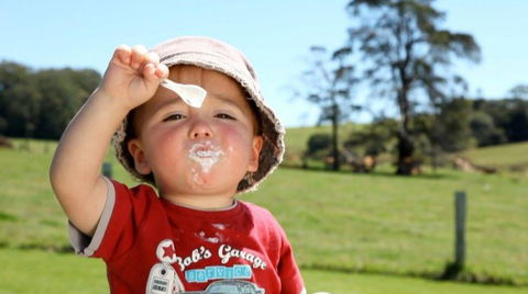 Maleny Dairies - Attractions Melbourne 5
