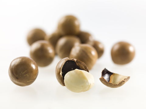 Nutworks - Attractions Melbourne 5