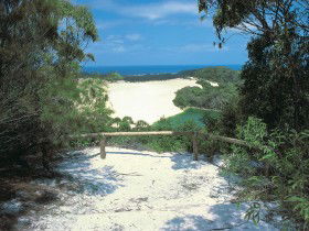 Lake Wabby Track - Attractions Melbourne 0