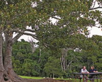 Book Ravensbourne Accommodation Vacations Attractions Melbourne Attractions Melbourne