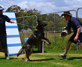 Glen Niven QLD Attractions Melbourne