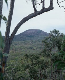 Mount Fox - Attractions Melbourne 0