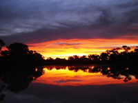Thomson River