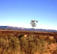 Tambos Wilderness Way - Attractions Melbourne