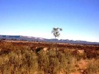 Tambos Wilderness Way