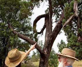 Charleville - Outback Native Timber Walk - Attractions Melbourne 0