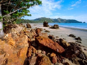 Diversity Boardwalk - Attractions Melbourne 0