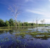 Tyto Wetlands - Attractions Melbourne