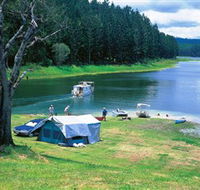 Danbulla National Park and Danbulla State Forest - Attractions Melbourne