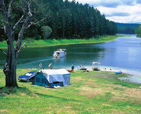 Danbulla National Park And Danbulla State Forest - Attractions Melbourne 0