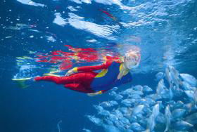 Outer Rocks Dive Site - Attractions Melbourne 0