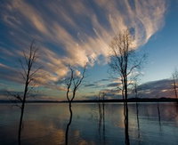 Book Benaraby Accommodation Vacations Attractions Melbourne Attractions Melbourne