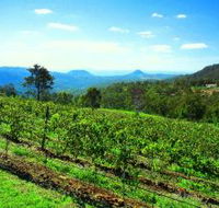 Preston Peak Wines - Attractions Melbourne