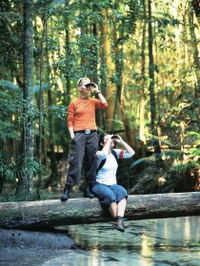 Birdwatching on the Fraser Coast
