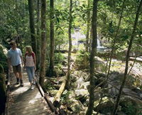Book Eungella Accommodation Vacations Attractions Melbourne Attractions Melbourne
