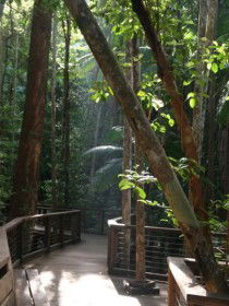 Basin Lake Track - Attractions Melbourne 0