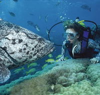 Pelorus Island - Attractions Melbourne