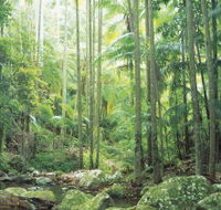 Python Rock - Attractions Melbourne