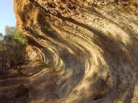 Wave Rock Trail