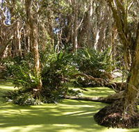 Arkarra Lagoons and Tea Gardens - Attractions Melbourne