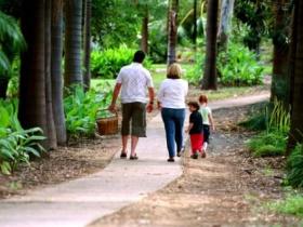 Emerald Botanic Gardens - Attractions Melbourne 0