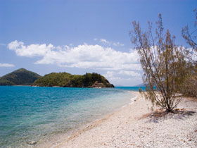 Paddle Bay Track And Campsite - Attractions Melbourne 0