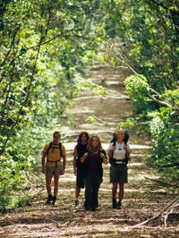 Wet Tropics Great Walk