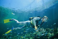 Manta Ray Bommie Dive Site